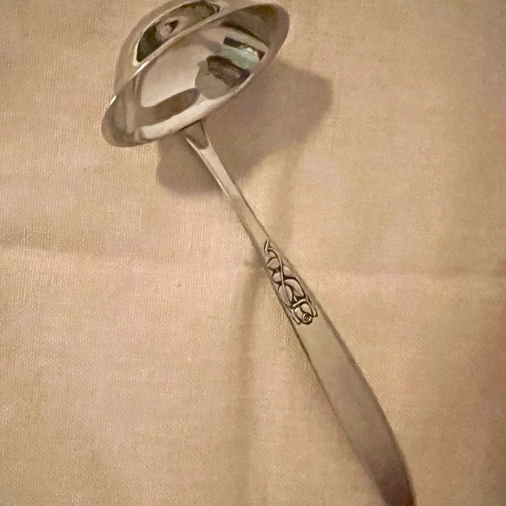 Elegant Silver Ladle